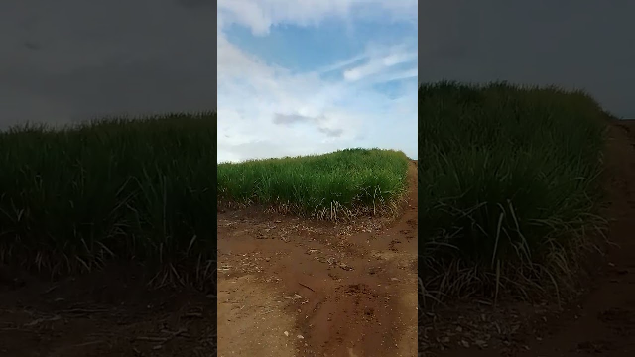 Tudo é vaidade ...