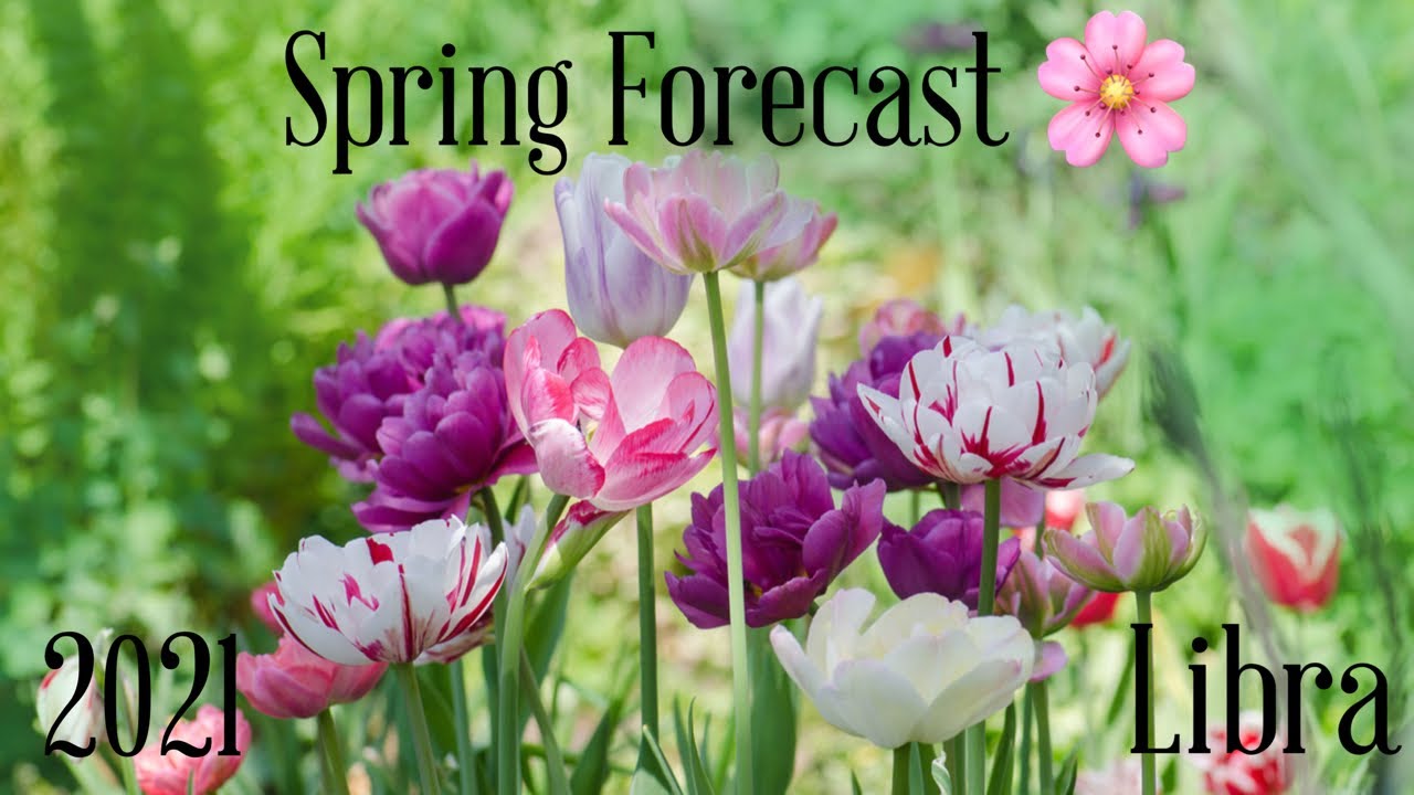 Libra♎️ - No more playing it safe.. it&rsquo;s time to allow yourself this happiness.