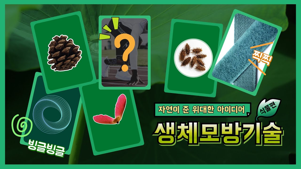 [교육]자연이 준 위대한 아이디어 생체모방기술 식물편