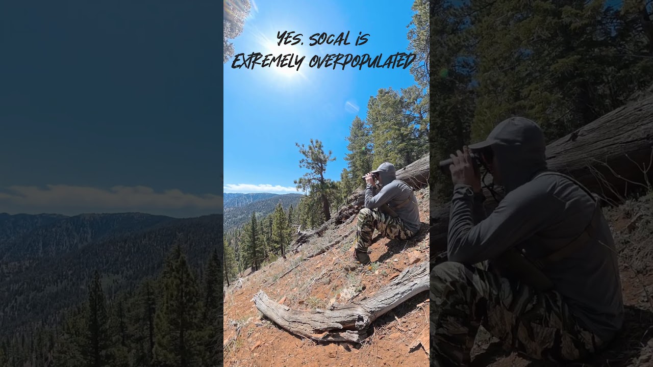 SoCal Hunting Prep | Scouting Deer and Bear in Los Padres Mountains (Southern California)