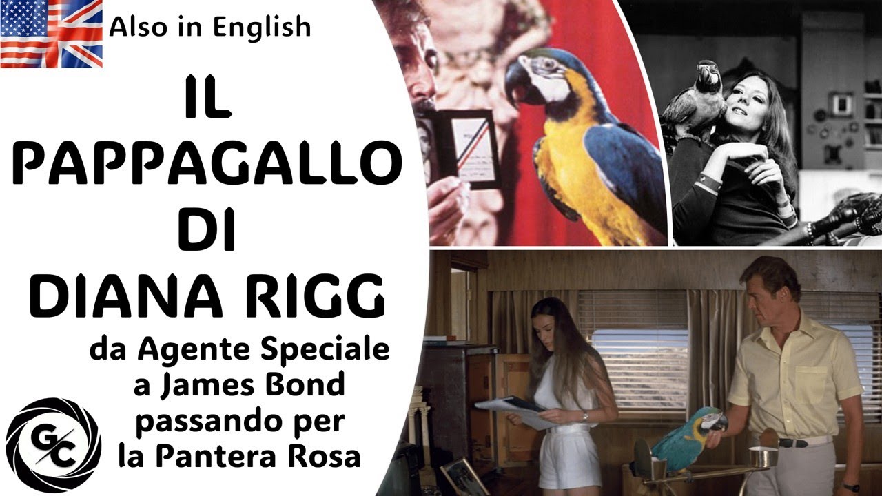 IL PAPPAGALLO DI DIANA RIGG da Agente Speciale a James Bond passando per la Pantera Rosa