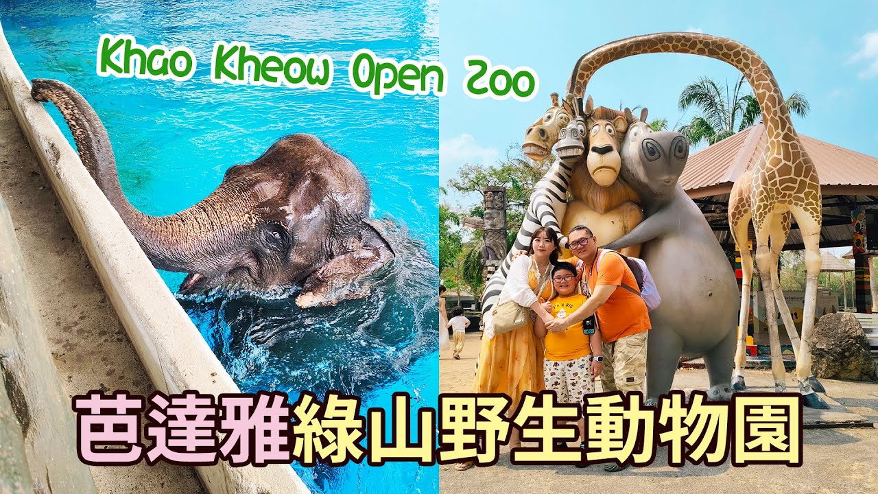 芭達雅親子小旅行 Day3．綠山野生動物園 Khao Kheow Open Zoo．彈跳豬河馬、大象游泳、親手餵食大象長頸鹿企鵝！