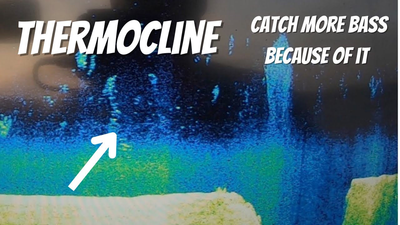 Thermocline (What it is and translating it so you catch more BASS)