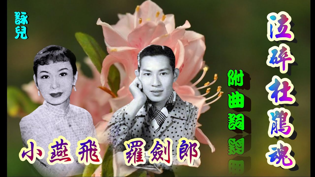 泣碎杜鵑魂_羅劍郎_小燕飛合唱_(清晰版)附曲詞