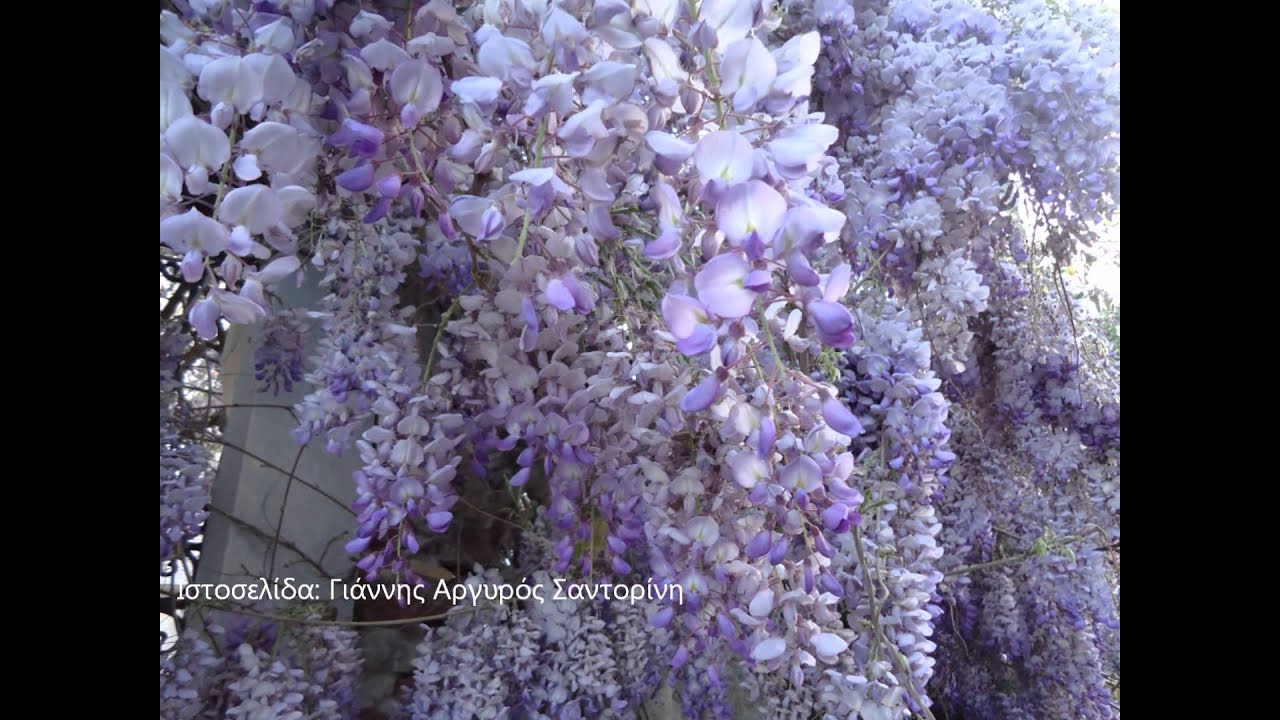 Η Έξω Γωνιά της Σαντορίνης