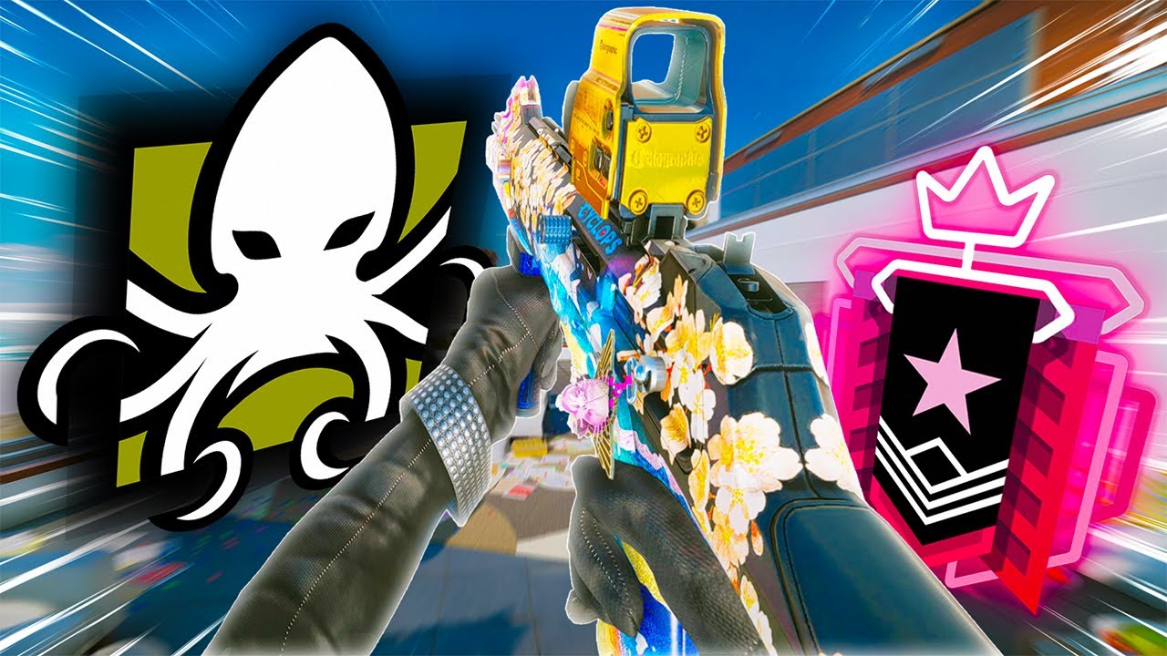 What 1000 Hours of ALIBI looks like!