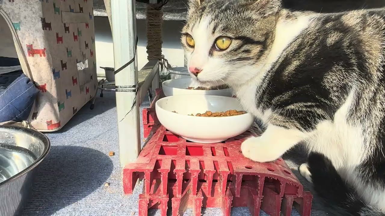 쓰지 않은 맛있는 밥ㅋㅋ