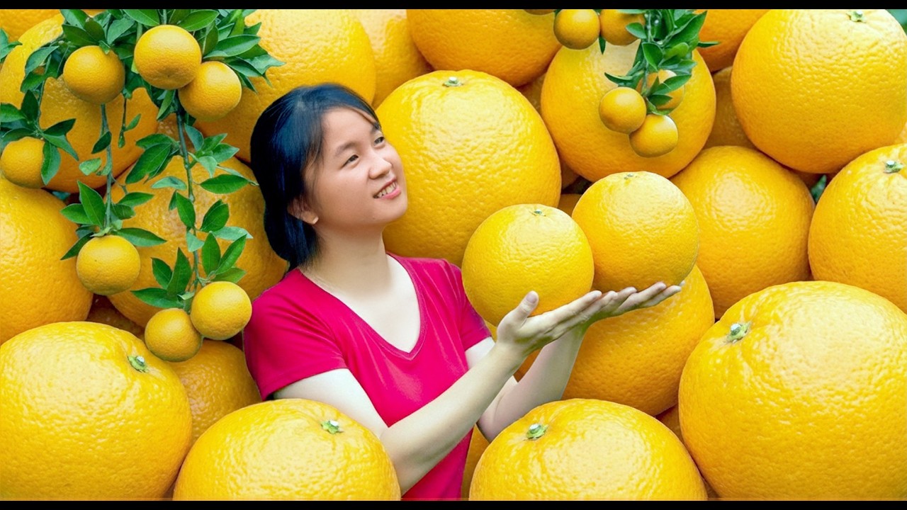 49-Day Full Video Harvesting Orange Watermelon  Growing Vegetable | Harvest, Farm, Cooking, Selling