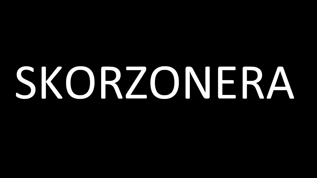 WSZYSTKO o uprawie - Skorzonera, Wężymord, Zimowy szparag - uprawa warzyw | infoUprawa