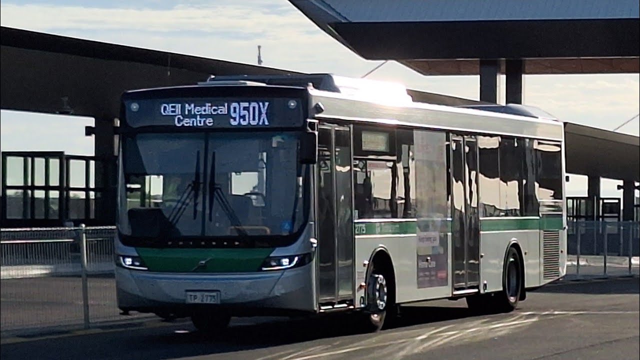 [Traffic Nightmare] Transperth Bus Route No. 950X (TP2775) Morley Station to QEII Medical Centre