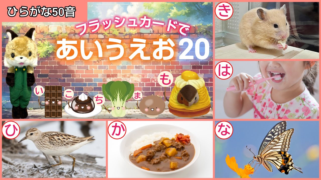 【フラッシュカード】ひらがな50音「フラッシュカードで♪あいうえお20」