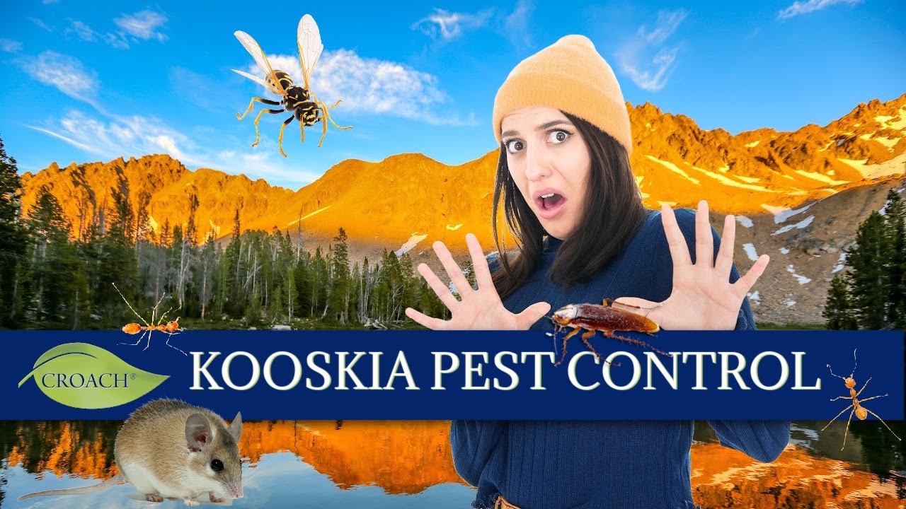 Kooskia Pest Control | Croach&reg; Pest Control