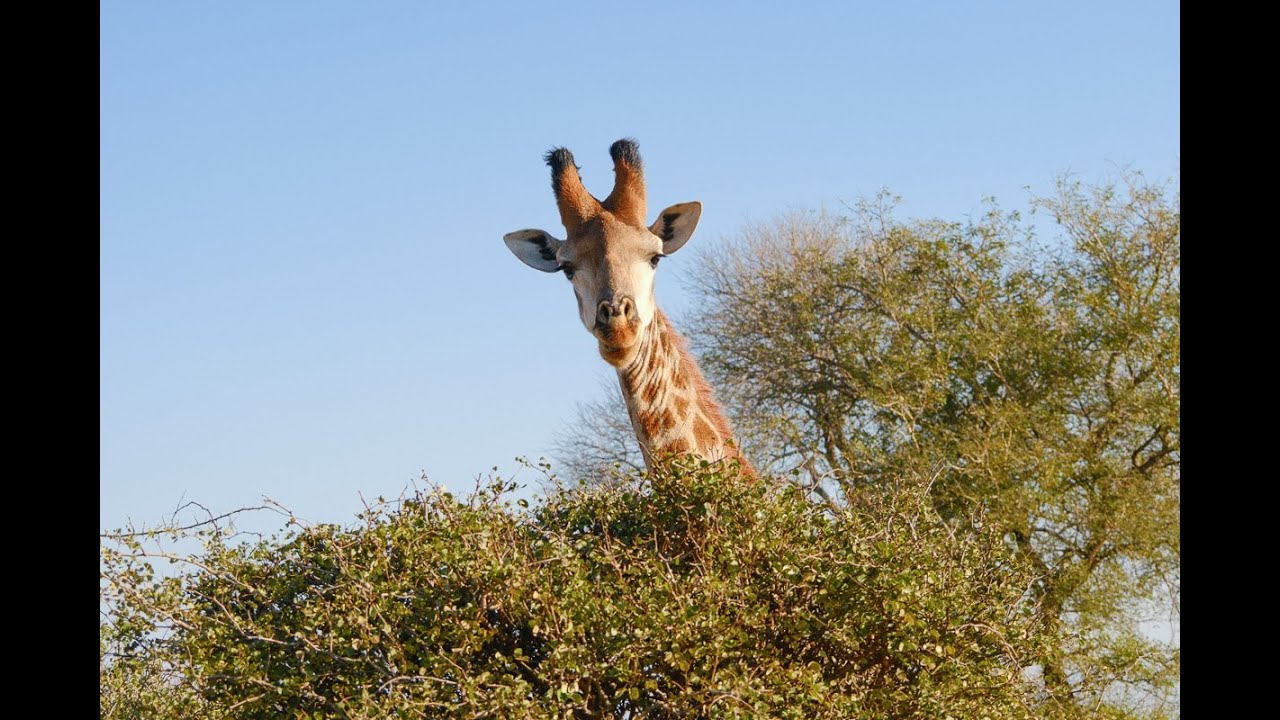 Africa Adventure: G Adventures - From Cape Town to Victoria Falls - June 2025