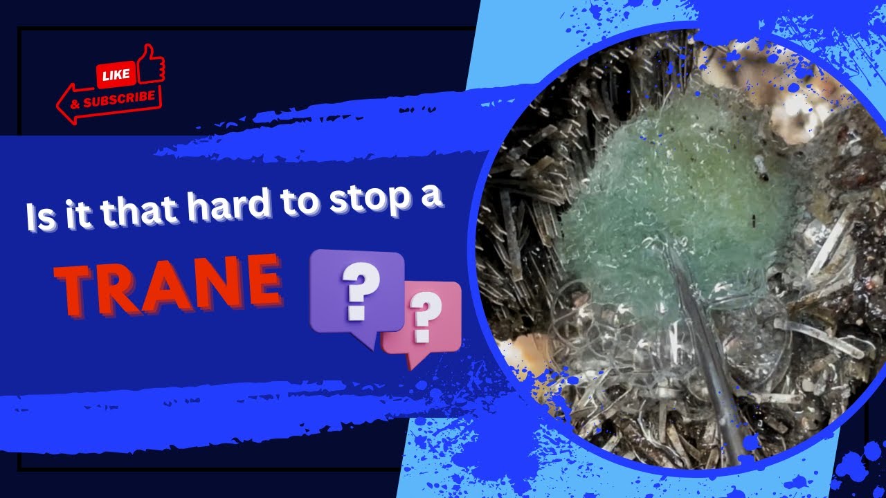Trane AC Leaks Refrigerant | Neglected Maintenance
