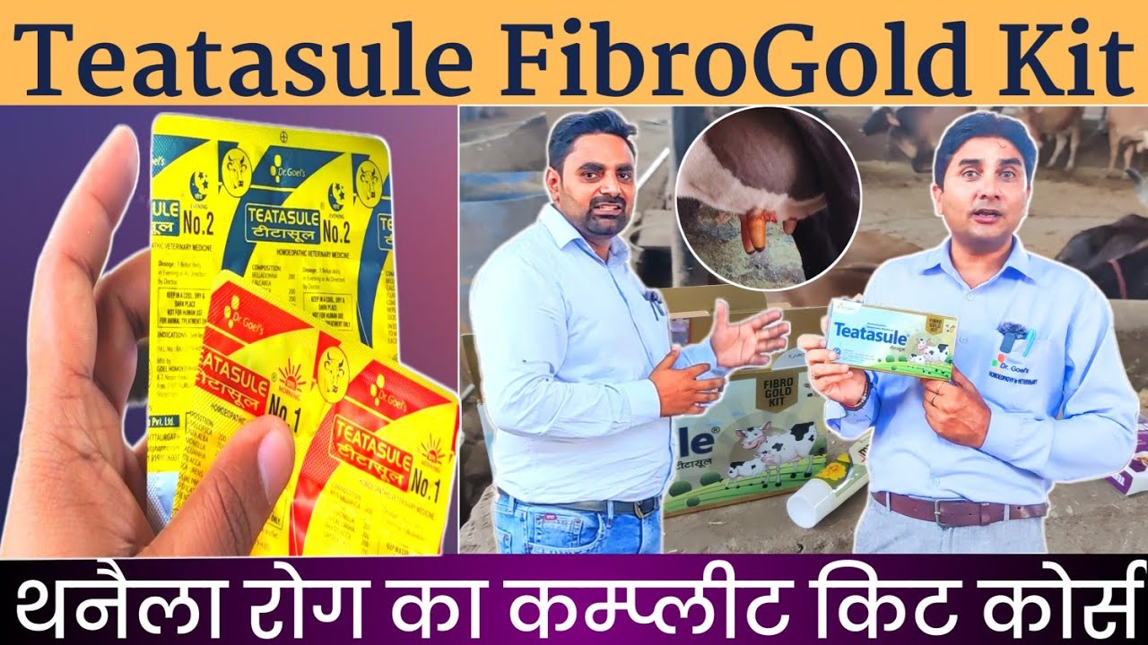 Набор Teatasule Fibrogold | Мастит | Полный курс комплекта