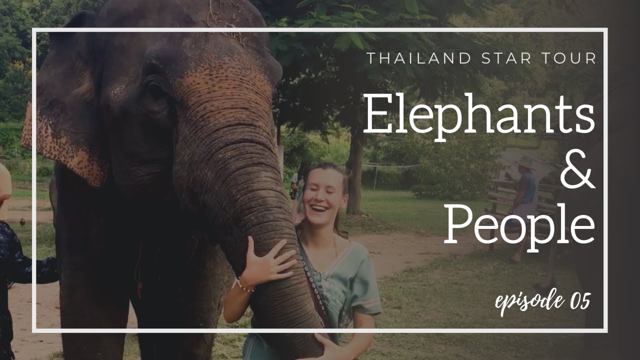 Thailand Star Tour ⭐ | E05 | Elephants and people - We have the power to set them free