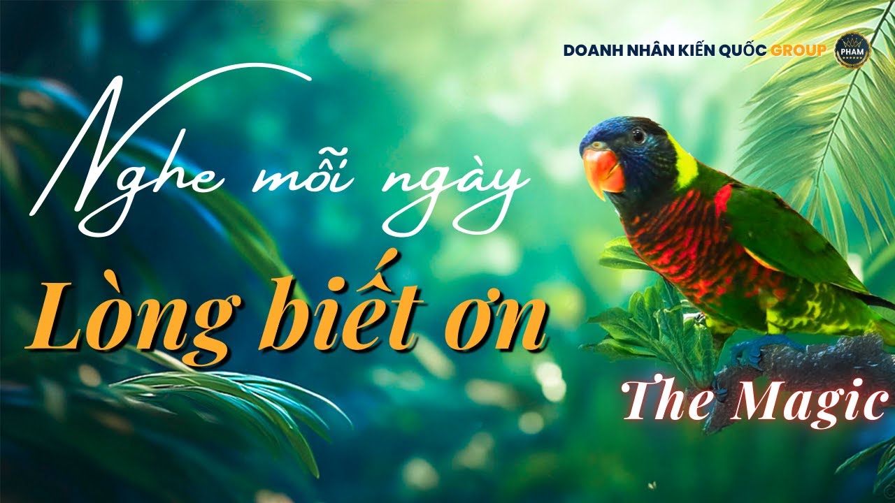 LÒNG BIẾT ƠN | Phương pháp giúp bạn tích cực, giàu có và hạnh phúc