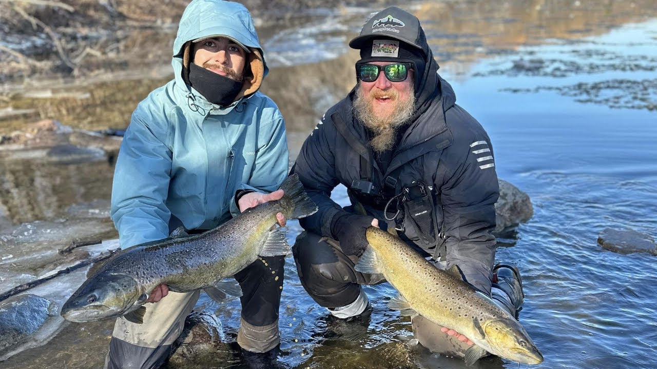 Epic Brown Trout Tripple! Float Fishing For Winter Brown Trout #browntroutfishing #troutfishingvideo