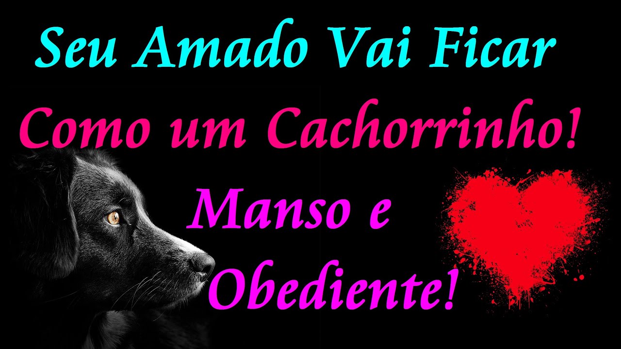 ORAÇÃO PARA ELE FICAR MANSO E OBEDIENTE IGUAL UM CACHORRINHO