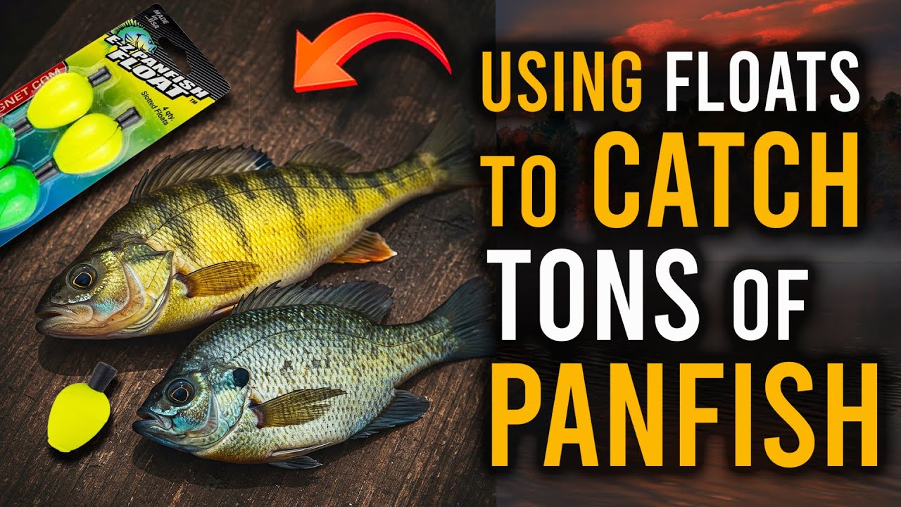 USING FLOATS to Catch TONS of PANFISH!