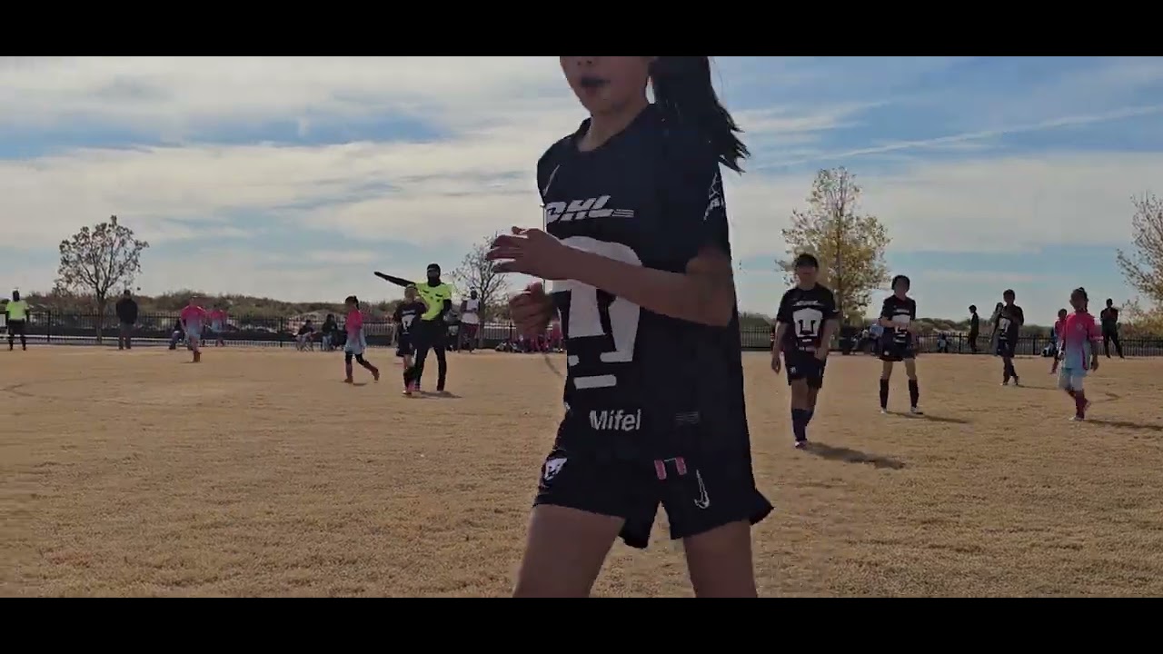 Birds of prey vs lady pumas 2015 Christmas classic 