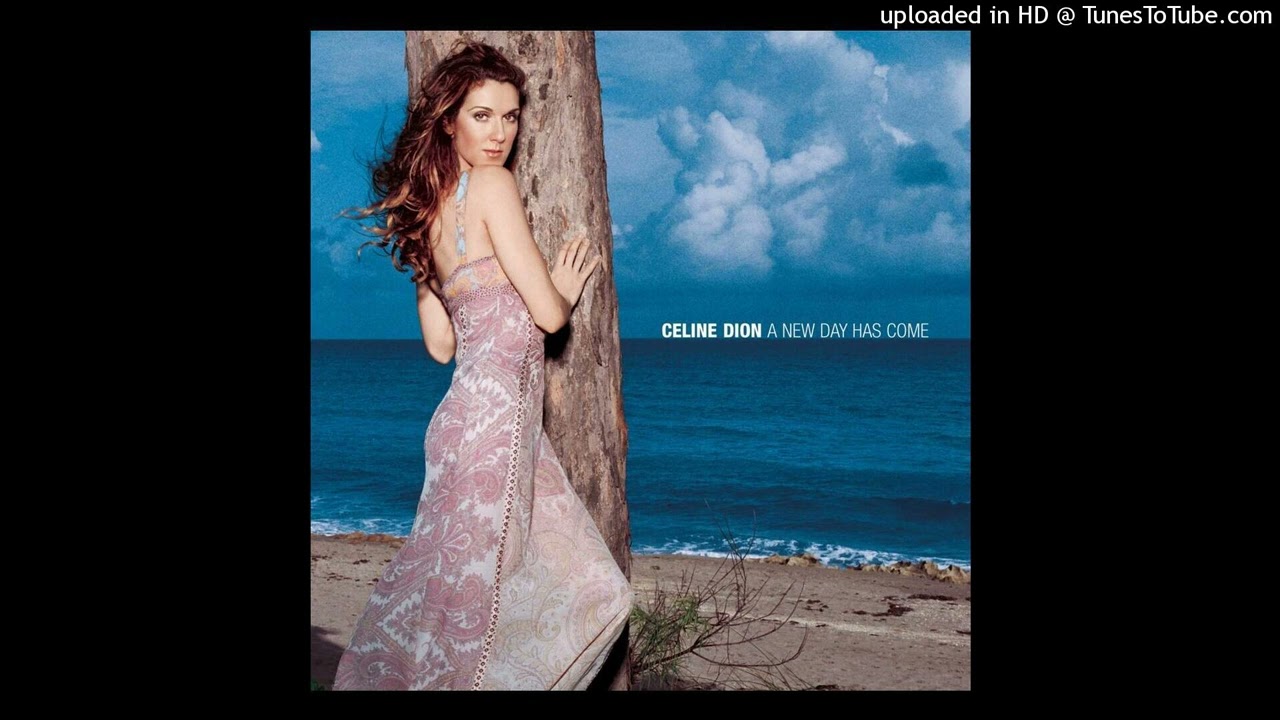 Celine Dion - A New Day Has Come (Radio Remix Instrumental)