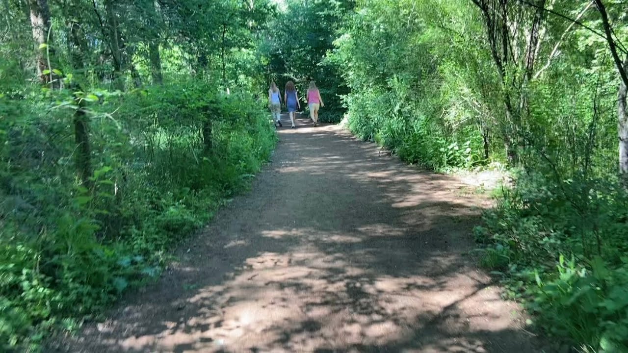 Walking Through at Country Park Rushmere Park Bedfordshire UK