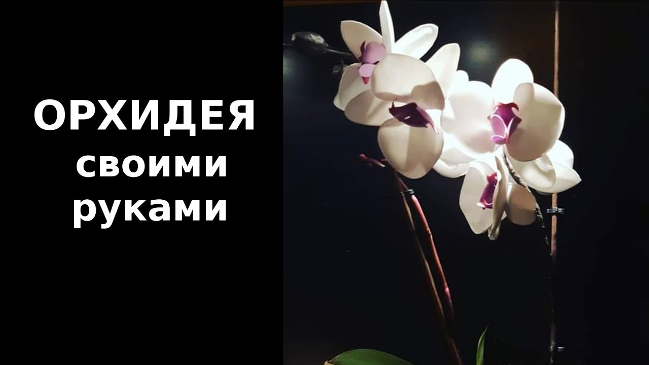 Как сделать орхидею своими руками из фоамирана
