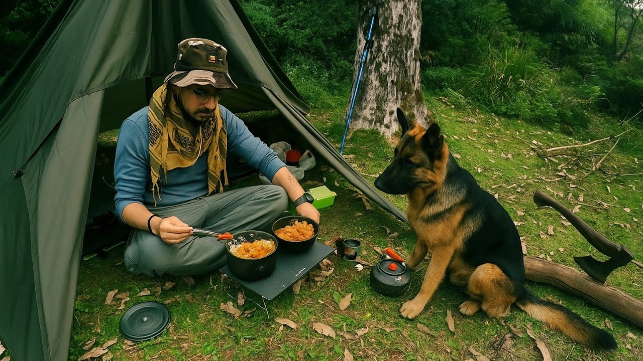 I survive in the jungle  &  cooking warm meal | relaxing 