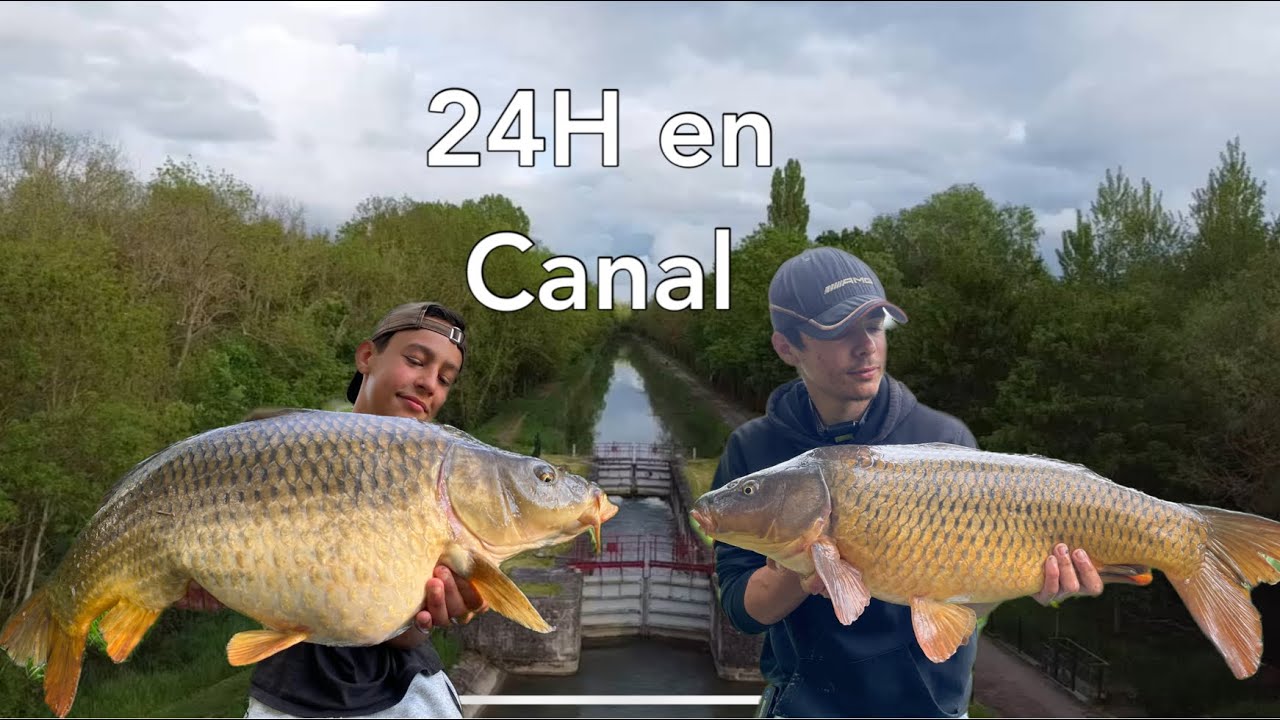 Pêche de la carpe en canal (24h)