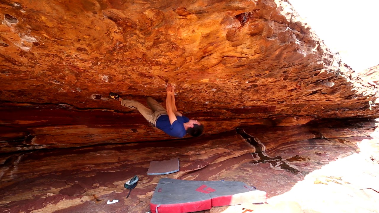 The Flies Are Coming | Kalbarri 2018