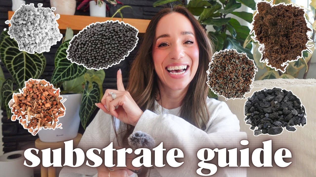 my go-to substrates for 150+ plants | propagation, semi-hydro + DIY