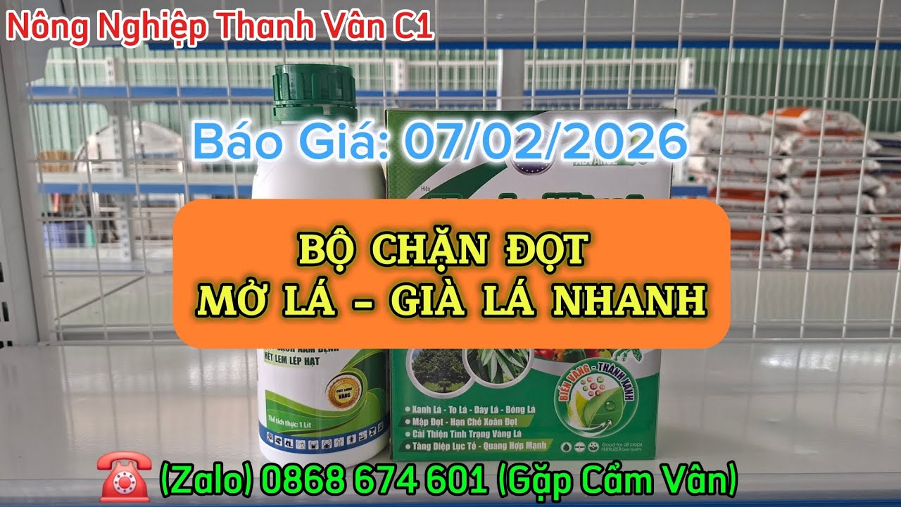 BỘ CHẶN ĐỌT, GIÀ LÁ, MỞ LÁ NHANH 