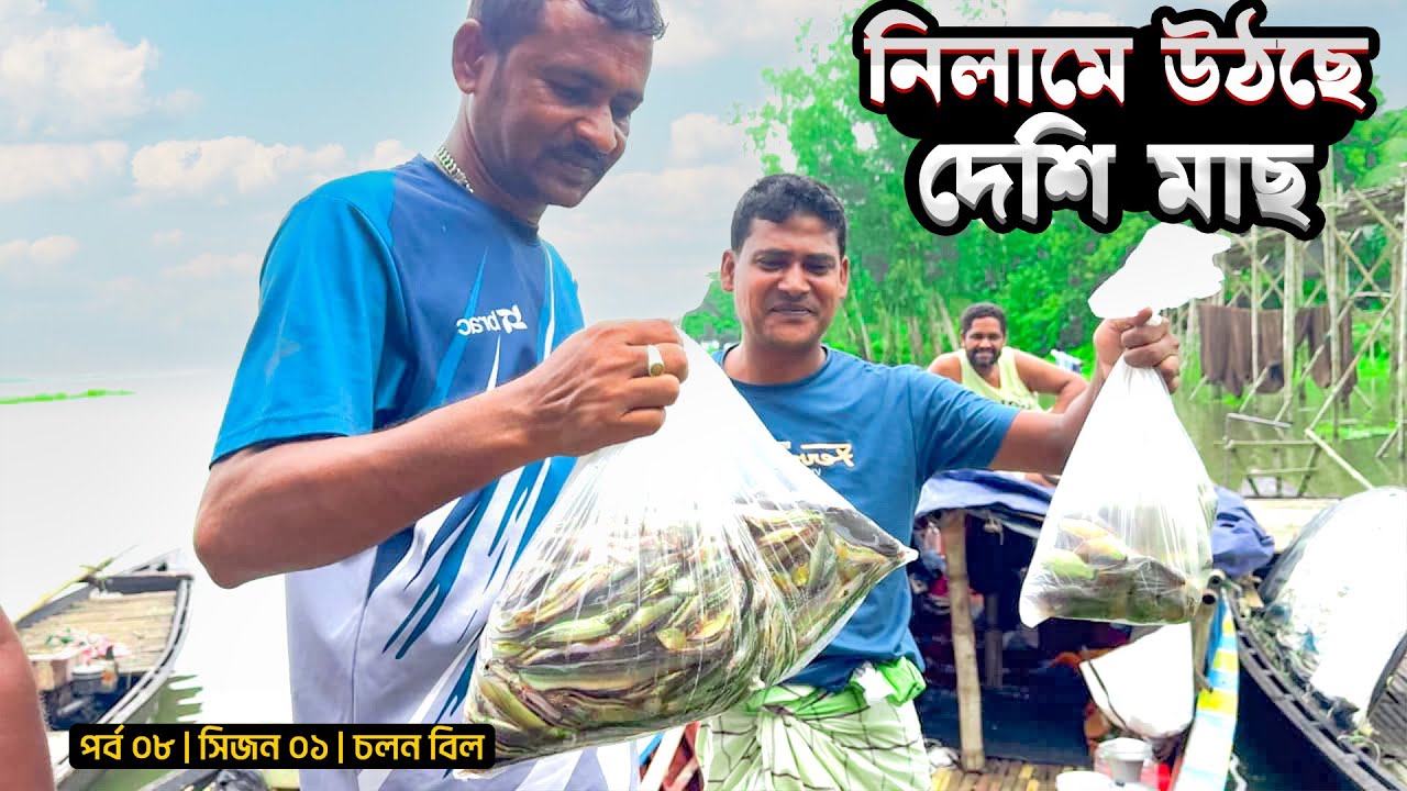 নিলামে উঠছে দেশি মাছ | পর্ব ০৮ | সিজন ০১ | চলন বিল | Munshi Anayet | Mohsin ul Hakim