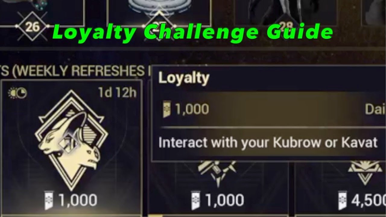 Loyalty Challenge Guide | Interact and pet your Kubrow/Kavat | Warframe | Nightwave Challenge