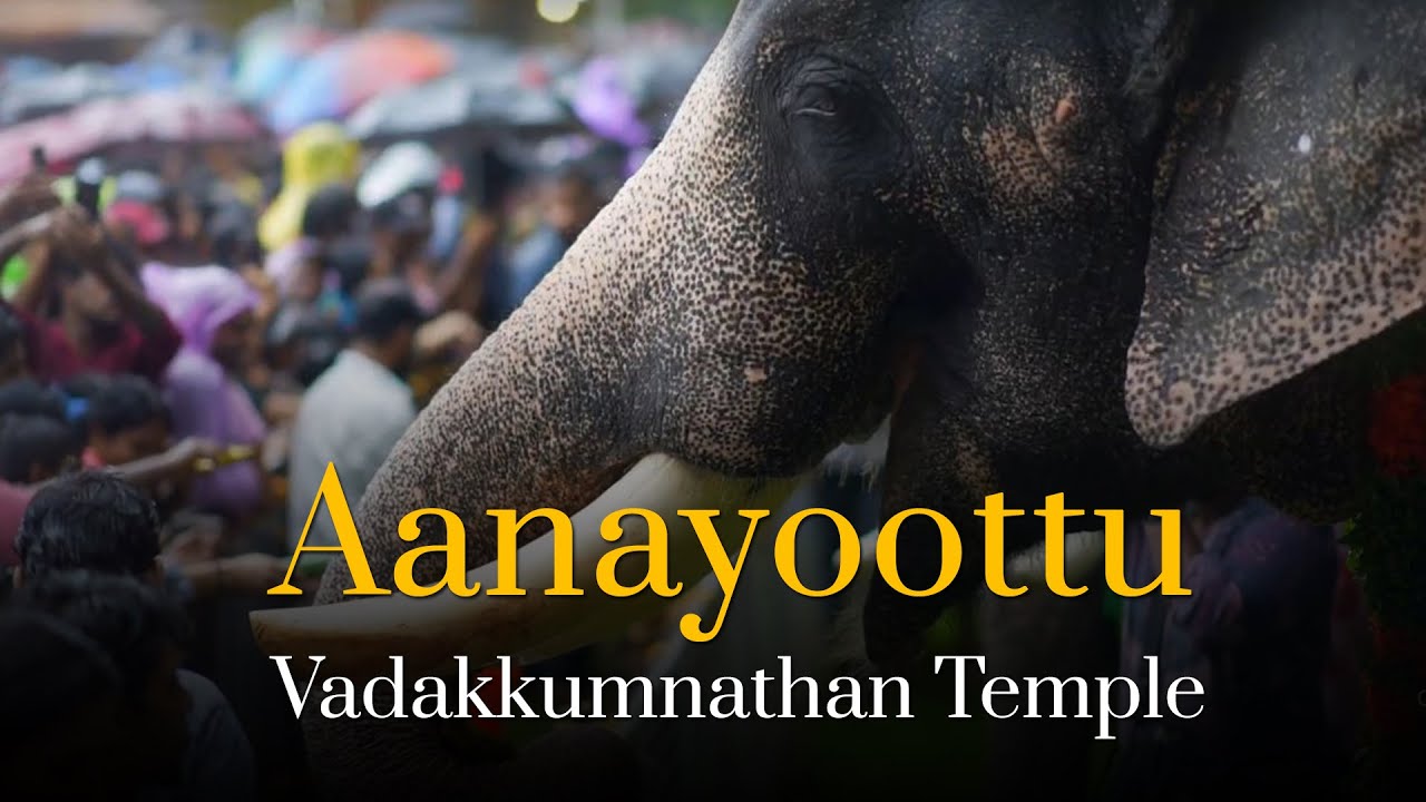 Feast for Elephants: Aanayoottu at Vadakkumnathan Temple