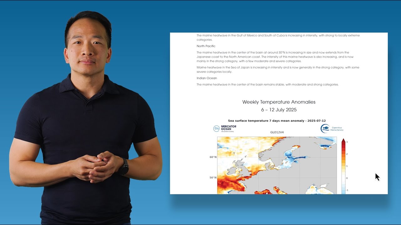 Tutoriel | Comprendre et Suivre l'Etat de l'Océan avec les Bulletins Océaniques de Mercator (FR)