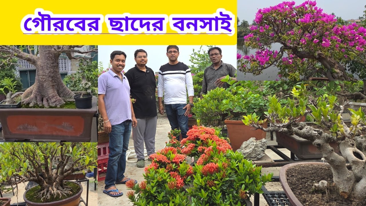 গৌরবের ছাদের তুলনাহীন বনসাই||Beautiful Bonsai Of Gourab Majumdar Rooftop Garden||Shree Sanjiban||