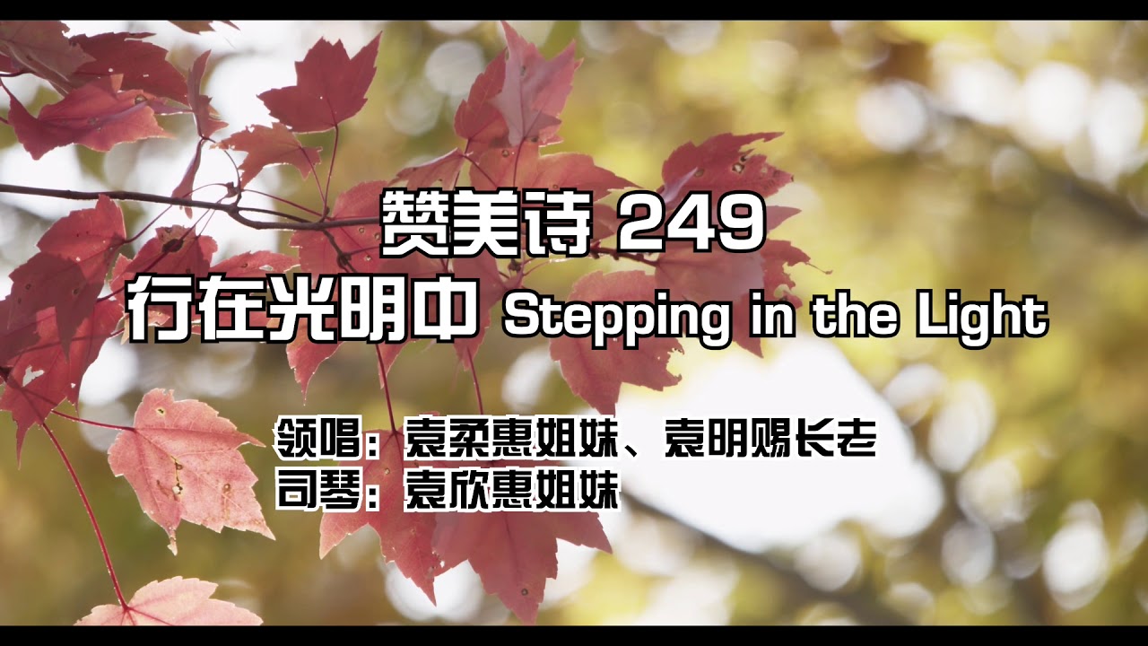 赞美诗249 行在光明中