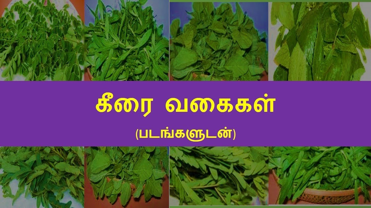 கீரை வகைகள் (படங்களுடன்) | Keerai types