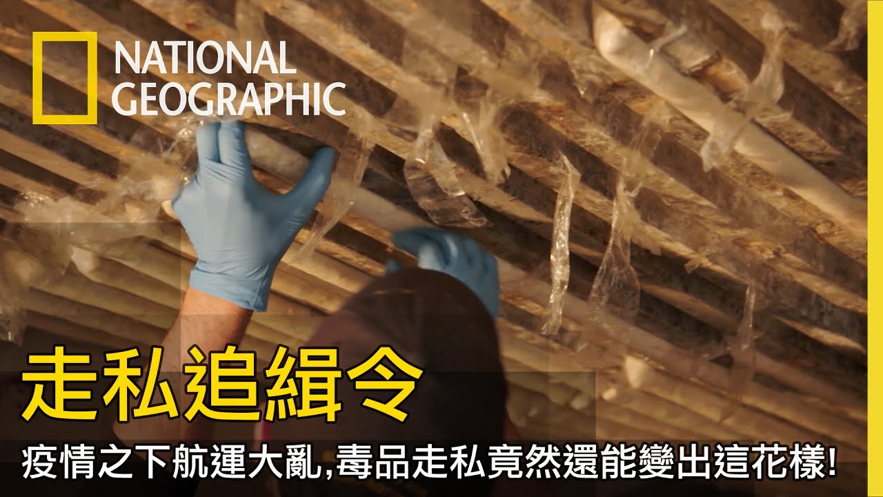 疫情之下空運、海運大亂，但是毒品走私就是有辦法見縫插針，數量還非常驚人【走私追緝令】
