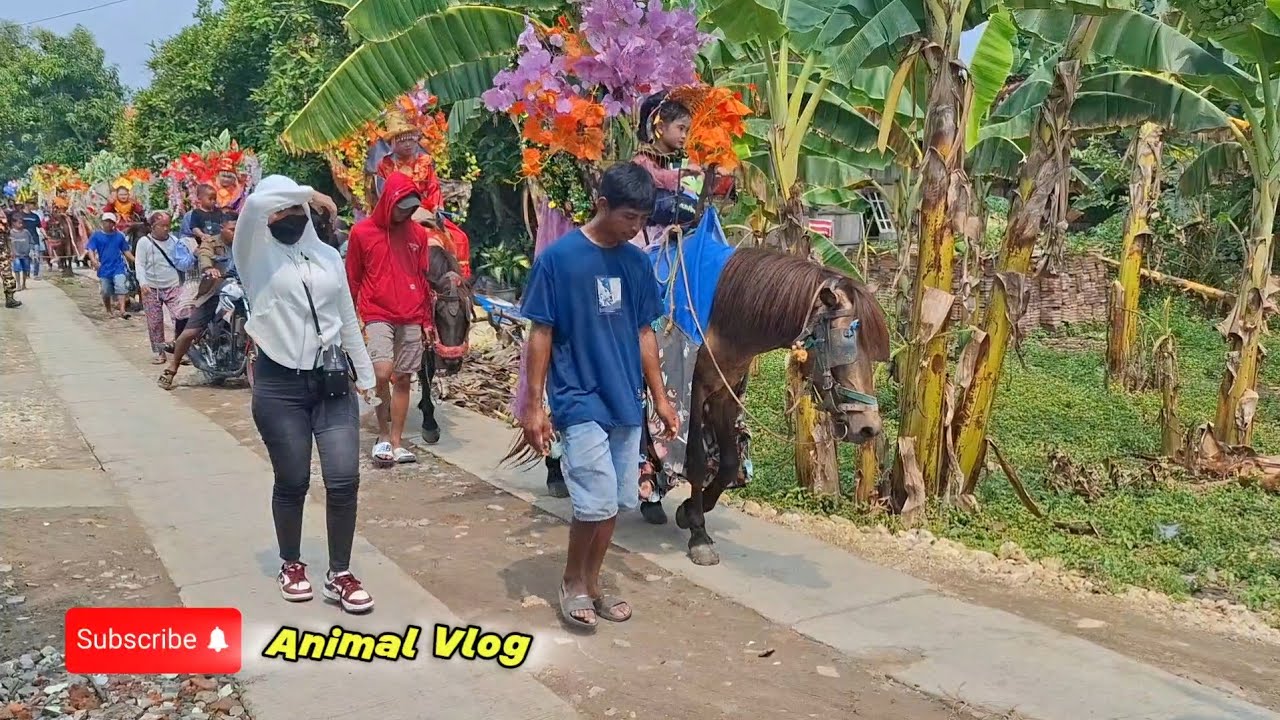 Terbaru‼️kirab kuda hias banyak sekali live karang pasar tegowanu grobogan