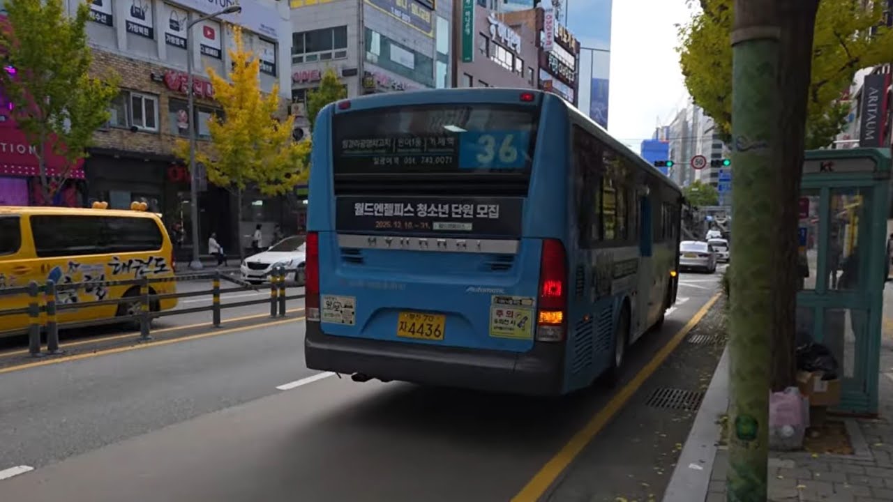 부산 36번 (중리 ~ 연산교차로)