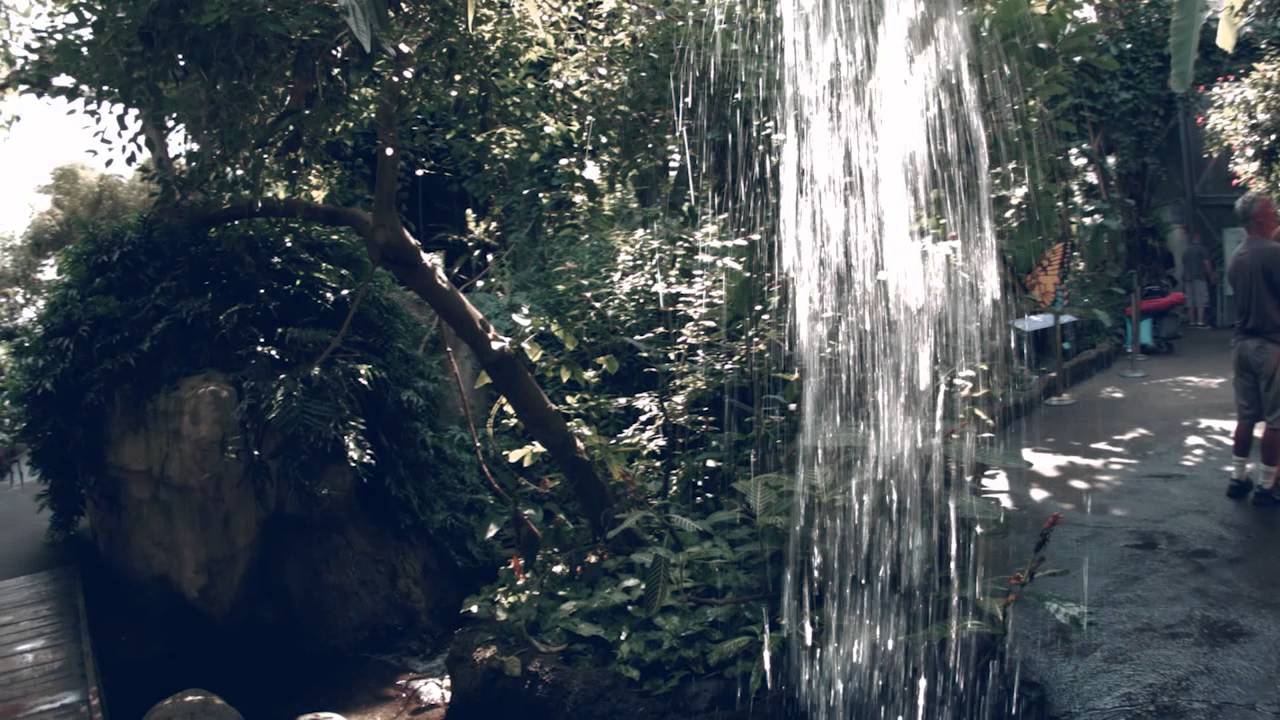 Cleveland Video Production - Destination Cleveland - Family - #thisisCLE
