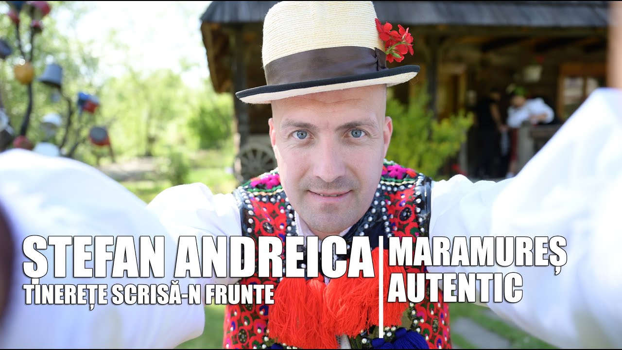 Stefan Andreica - Tinerete scrisa-n frunte