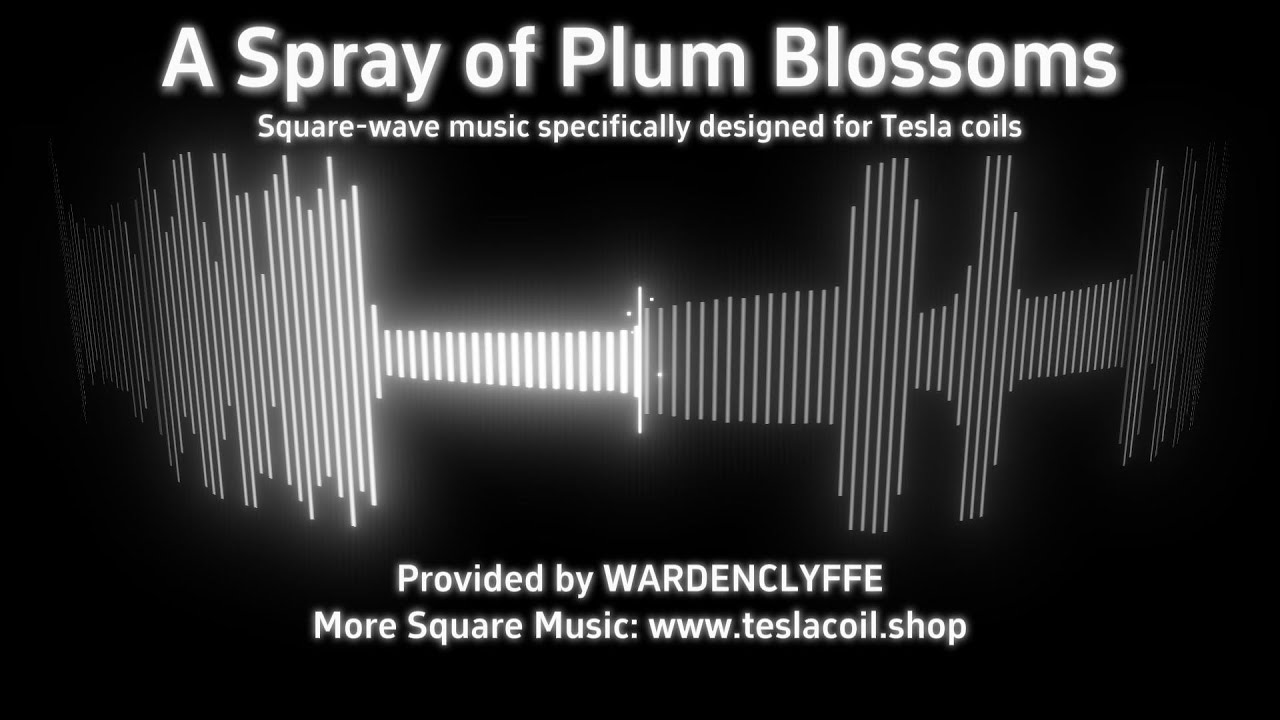 A Spray of Plum Blossoms