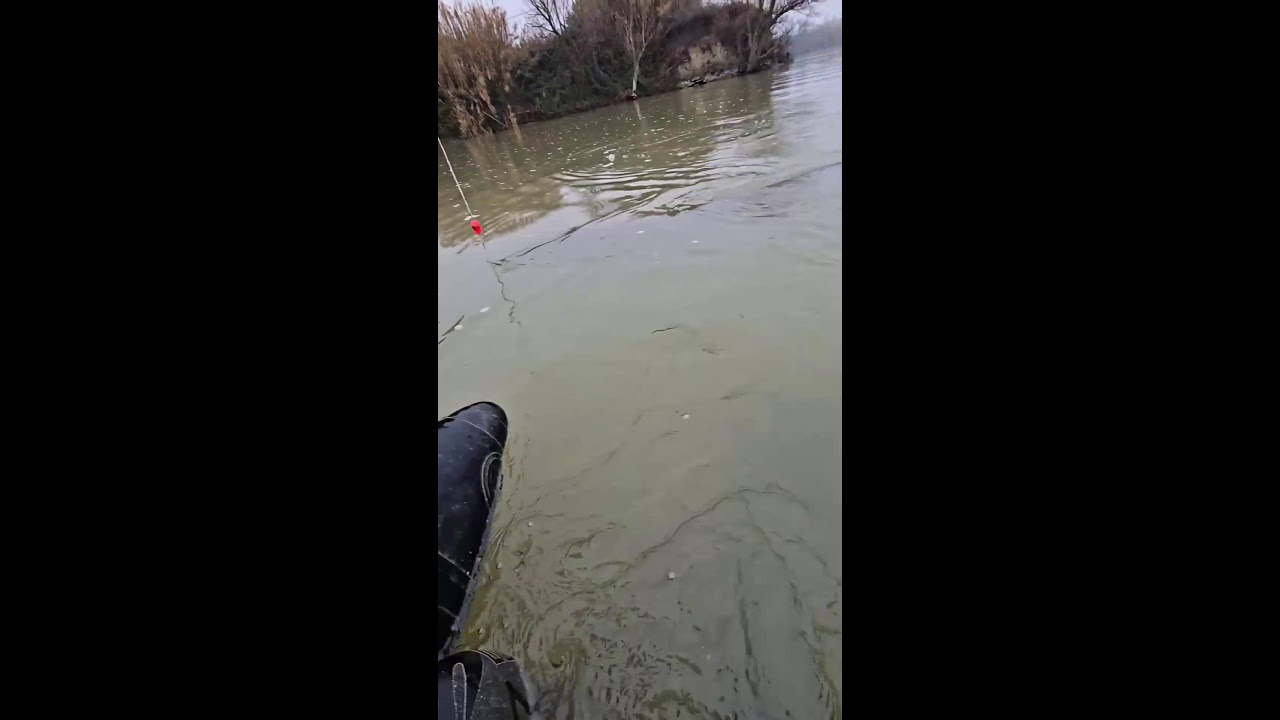 Fishing today