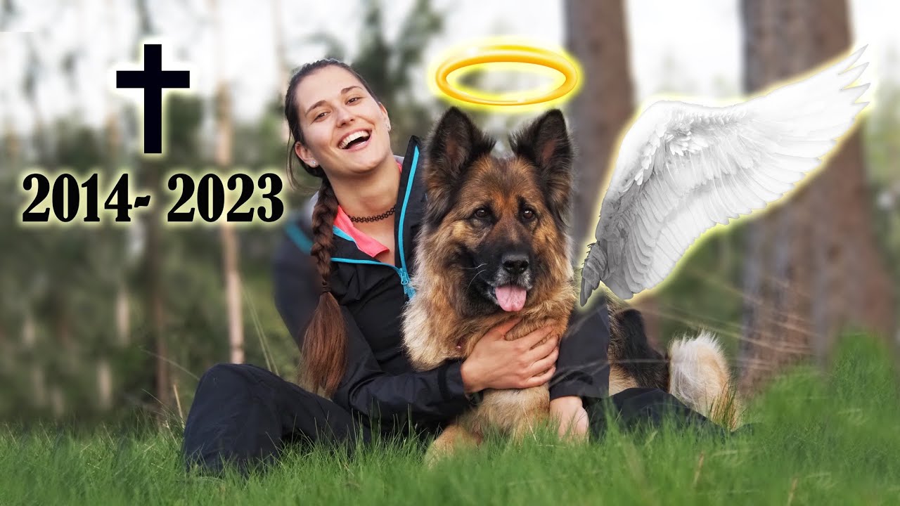 Bude&scaron; n&aacute;m chybět, př&iacute;teli 💔🕊️ rozloučen&iacute; s Rubby