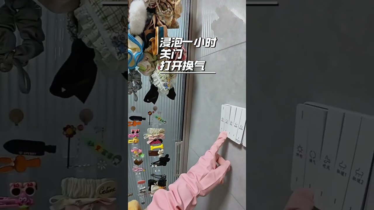 One person and seven cats do a thorough cleaning for the New Year. The New Year must be sp