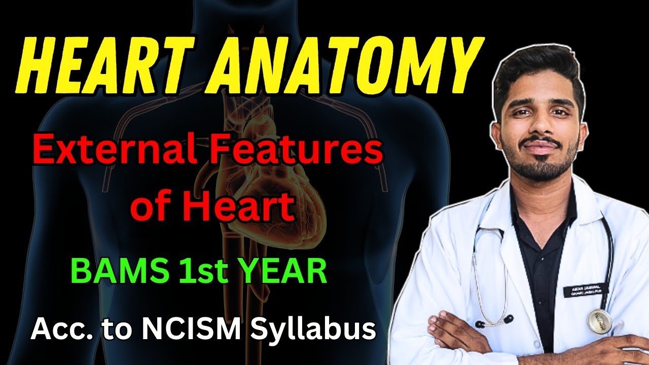 External Features of Heart [ Part 2 ] || BAMS 1st year #bams #anatomy #ayurvedawingsclasses